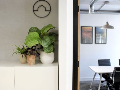 Office Plant Install